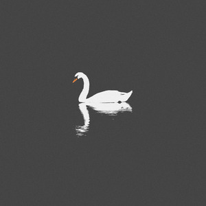 同性男男黄G片免费网站18禁无码
