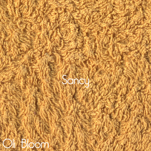 丈母娘和女婿的三级片看一下
